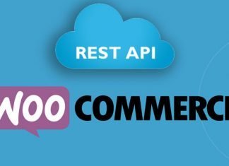 Api Woocommerce