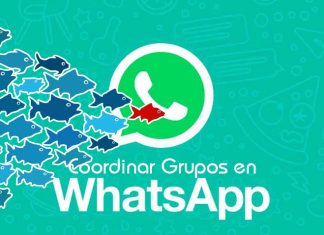 Coordinacion de grupos en Whatsapp