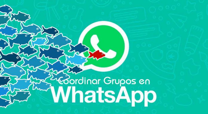 Coordinacion de grupos en Whatsapp