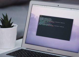 Flutter en Macos Catalina