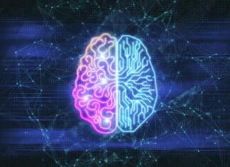 Segundo Cerebro Digital