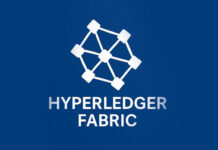 Hyperledger Fabric en la administración pública: arquitectura, casos reales y lecciones de implementación Hyperledger Fabric