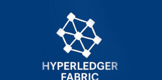 Hyperledger Fabric en la administración pública: arquitectura, casos reales y lecciones de implementación Hyperledger Fabric