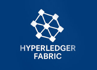 Hyperledger Fabric en la administración pública: arquitectura, casos reales y lecciones de implementación Hyperledger Fabric